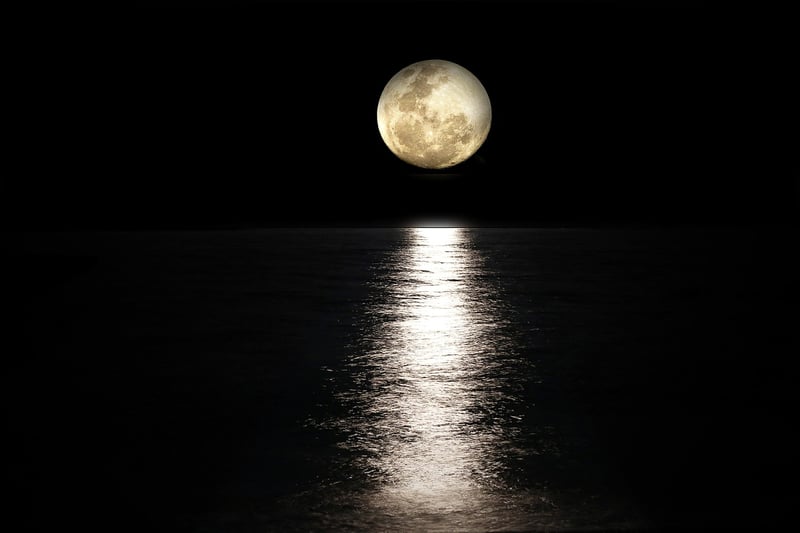 Moonlit Wedding Reception